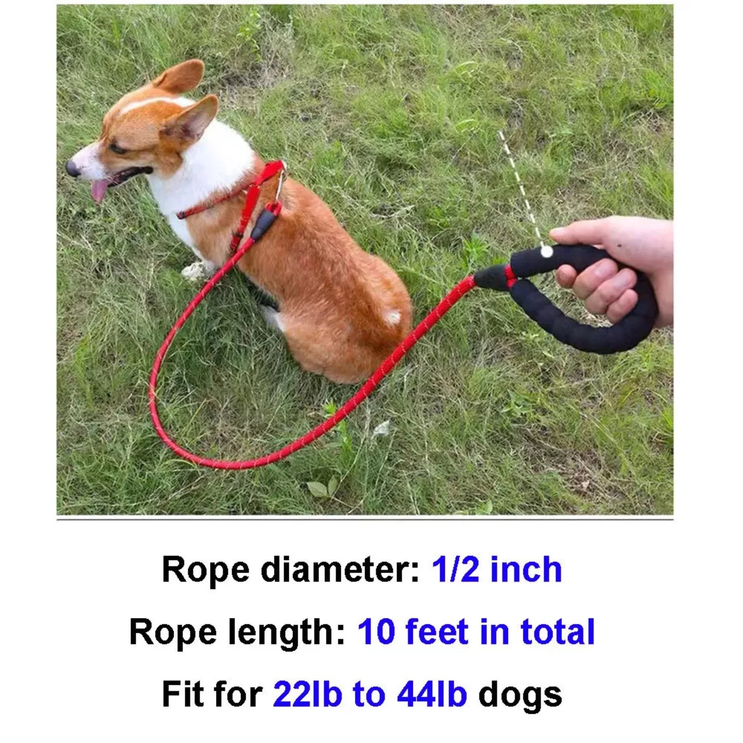 reflective nylon lead with comfortable handle- dog leash   dog walking